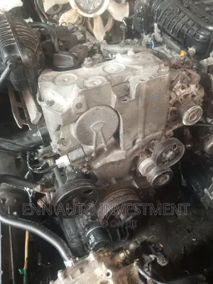 2.5 Altima 4plugs. 2007-11