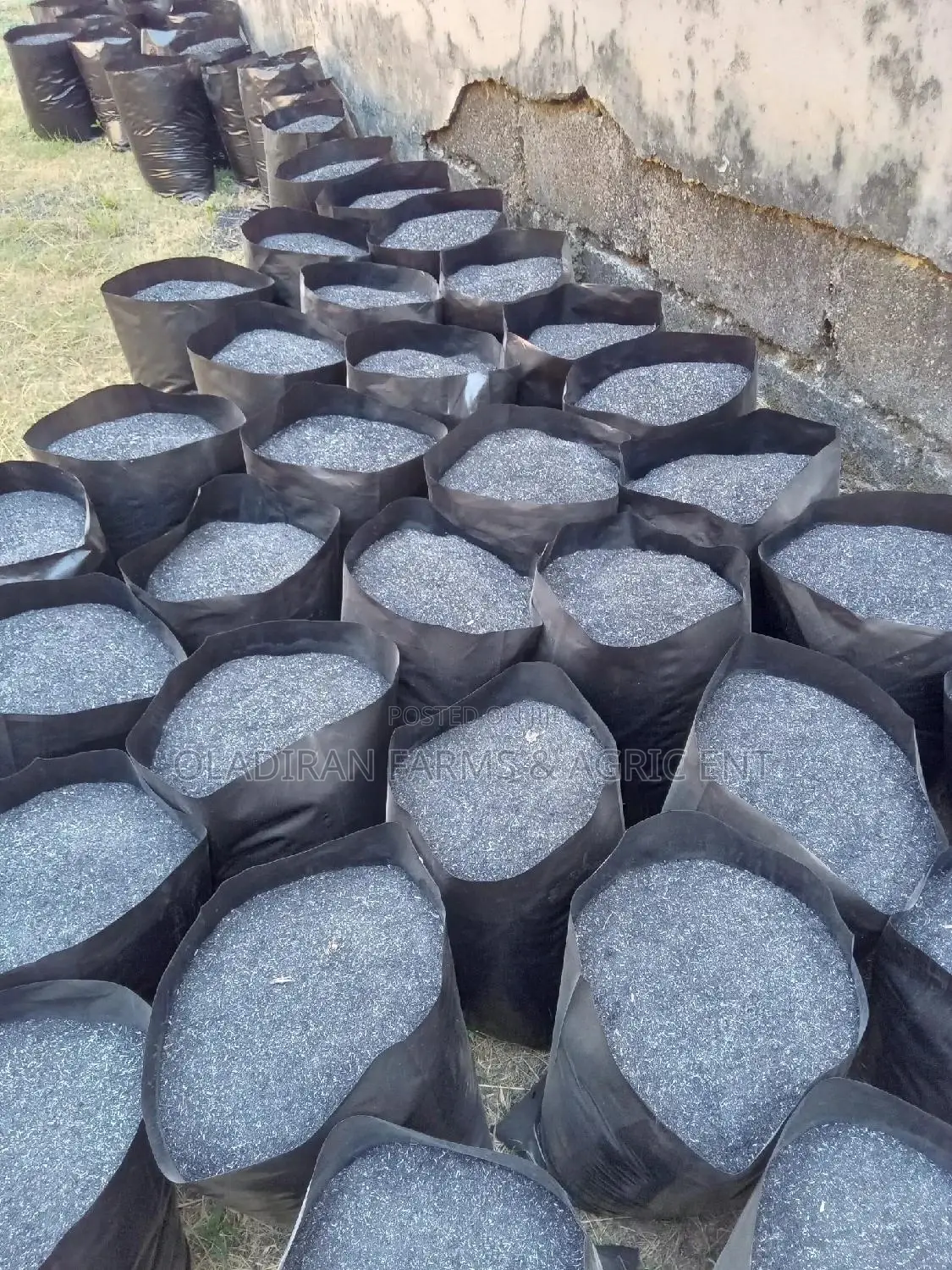 Carbonized Rice Husk
