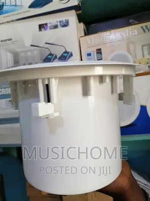 Baddest Inceiling Speaker With Deep Bass Production