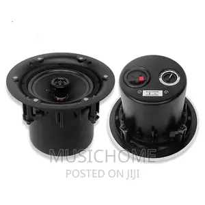 Full Range Inceiling Speaker With Low, Mid High Frequency