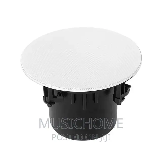 Full Range Inceiling Speaker With Low, Mid High Frequency