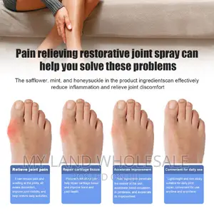 Pro Pain Relief Restorative Joint Spray