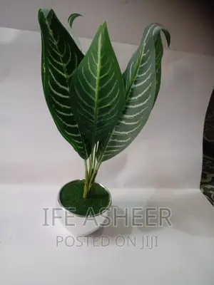 Exotic Shelf Flower Vase