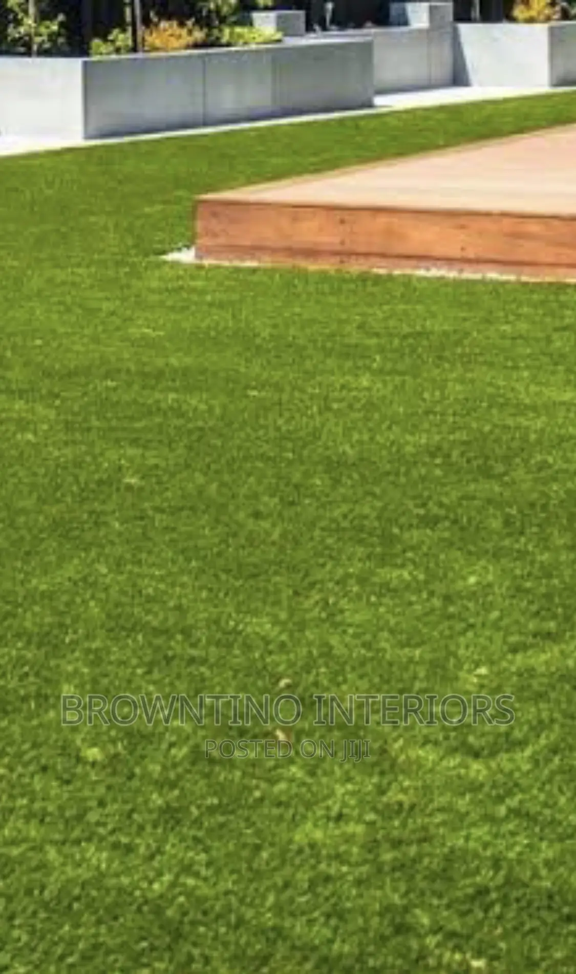 Artificial or Synthetic Grass