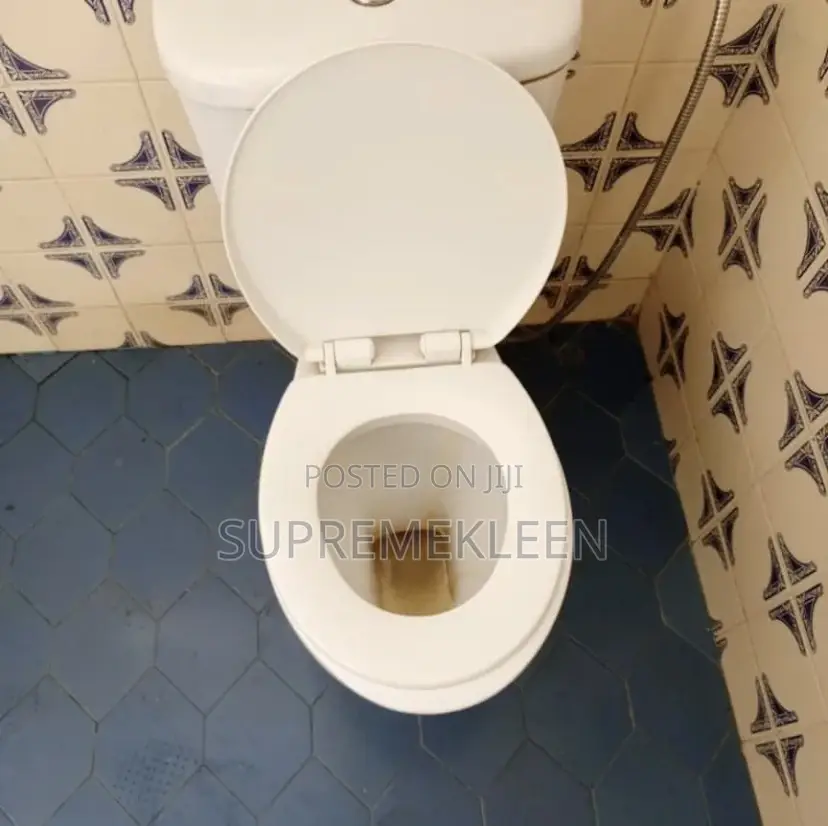 Satisfied Cleaning and Pest Control Service