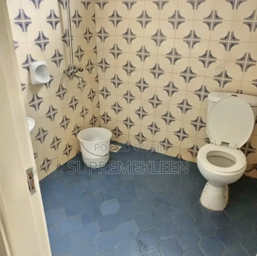 Satisfied Cleaning and Pest Control Service