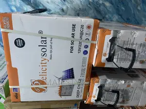 220A Pelicity Tubular Battery