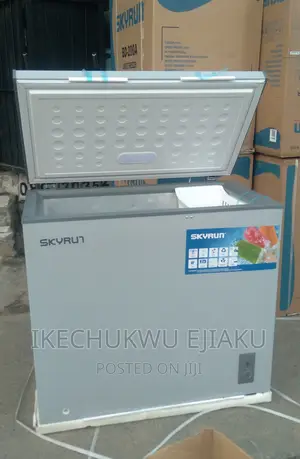 SKYRUN Chest Freezer Bd200a
