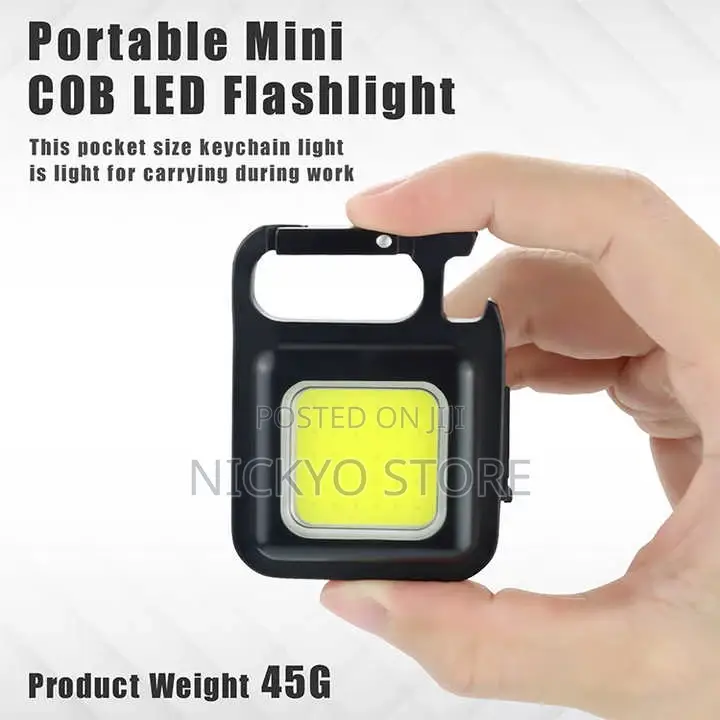 Mini Rechargeable Led Work Light With Carabiner Hook