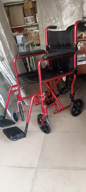 Pushing Wheelchair