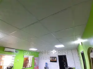 Guysum Suspended Ceiling Supply N Installation
