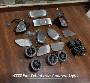 Mercedes Benz S Class Ambient Light