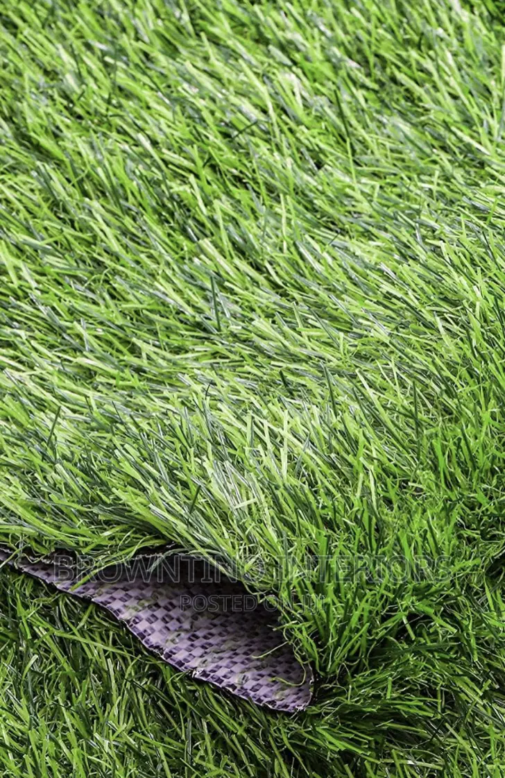Artificial or Synthetic Grass
