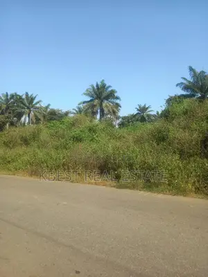 Farm Land at Iragberi Egbedore Local Government Osun State