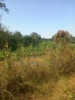 Farm Land at Iragberi Egbedore Local Government Osun State