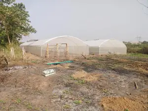 Greenhouse