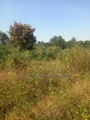 4000 Acres at Iragberi/Awo, Egbedore Local