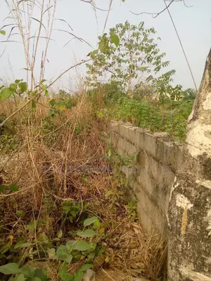 2 Plots of Land With C of O Located at Nkwoagu for Sale