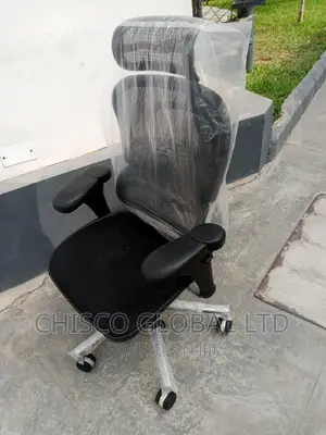 Office Chair {Orthopedic}