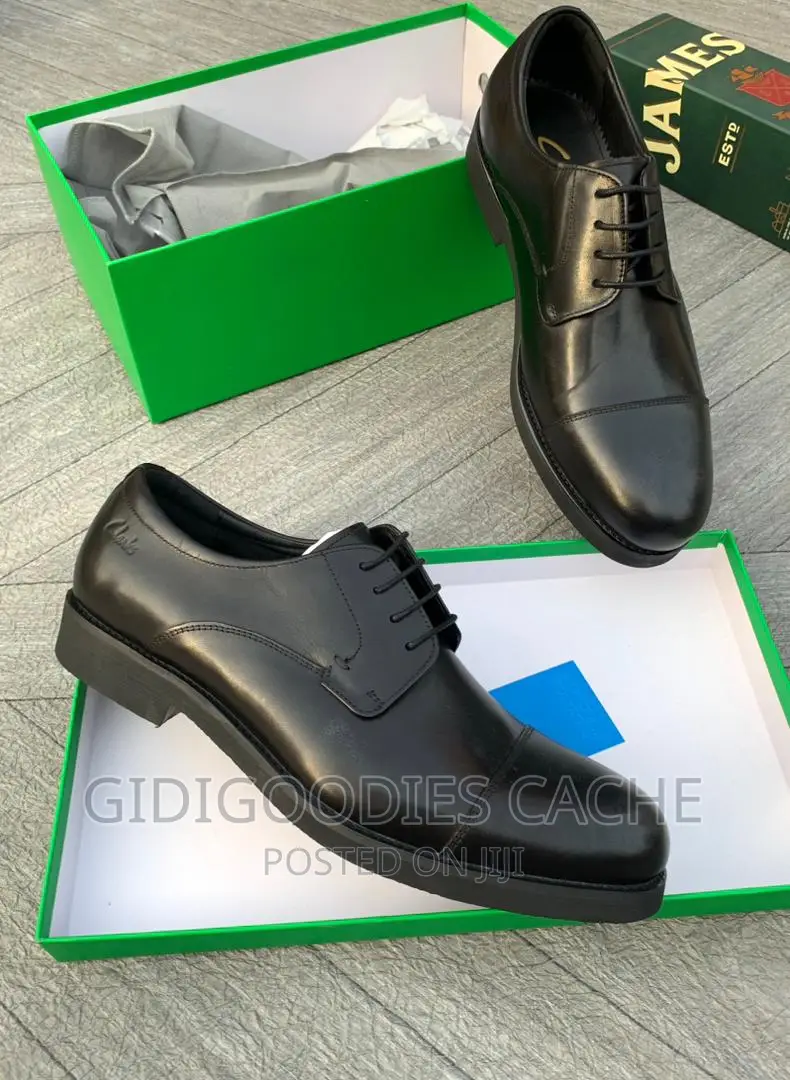 Clarks Luxury Leather Shoes