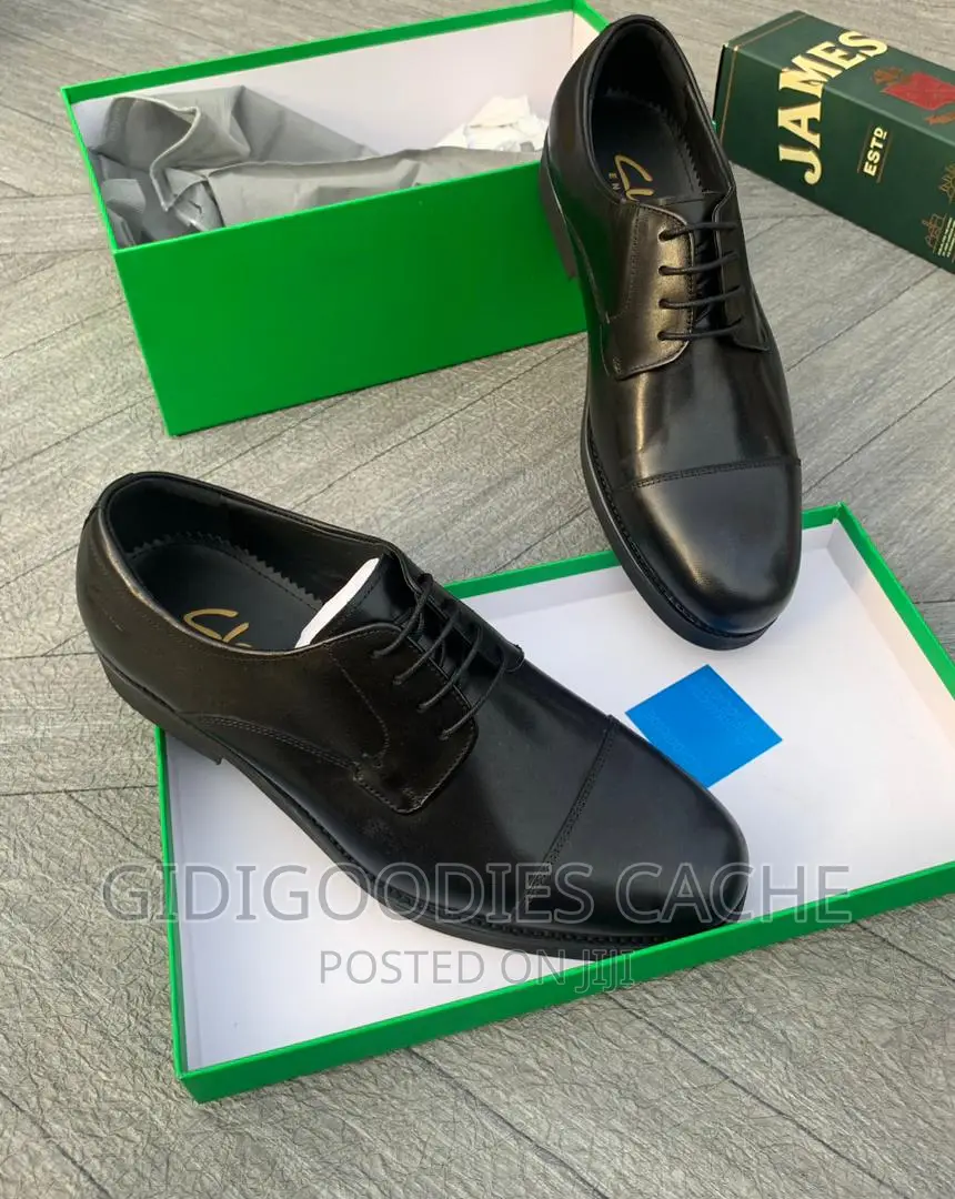 Clarks Luxury Leather Shoes