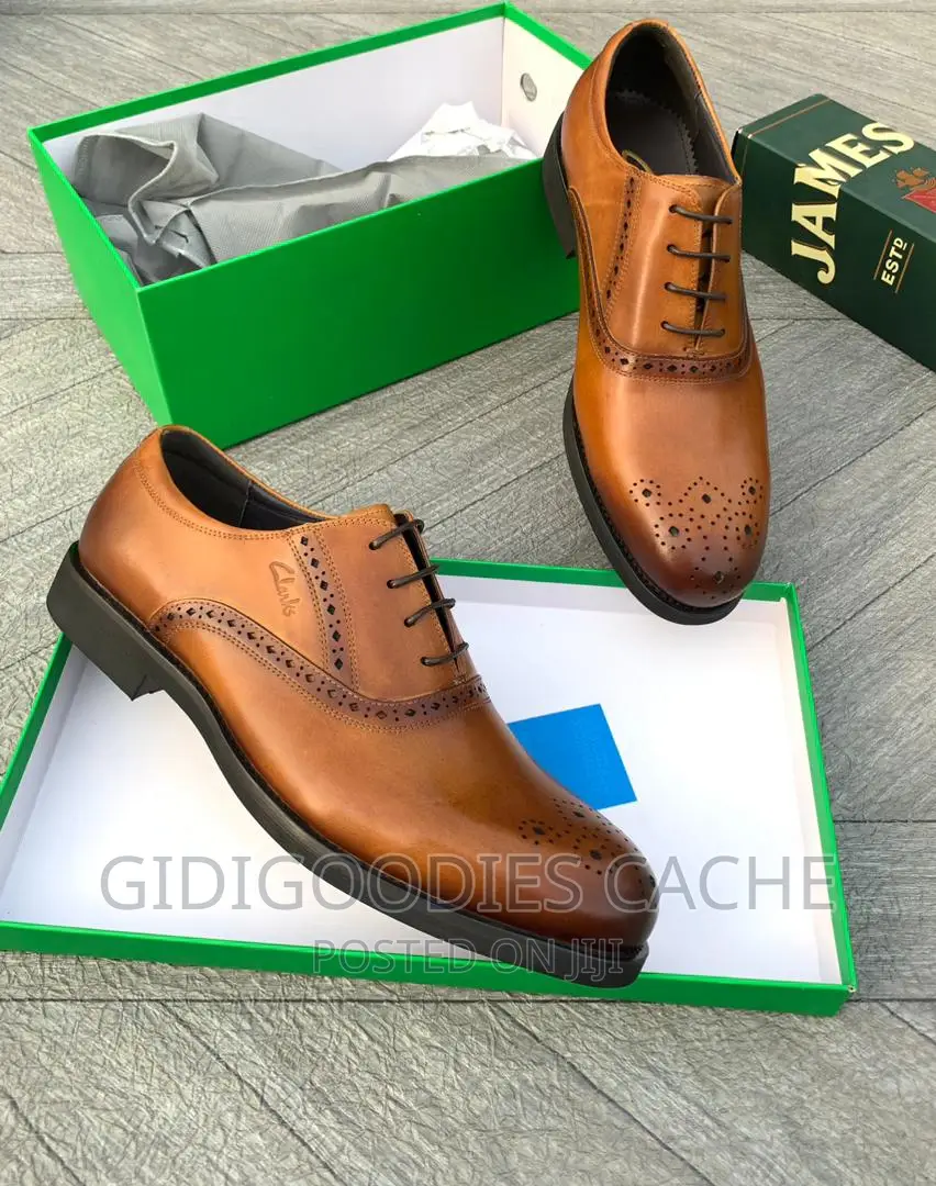 Clarks Luxury Leather Shoes