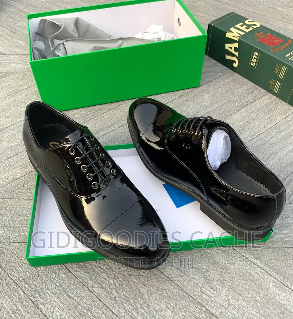 Clarks Luxury Leather Shoes