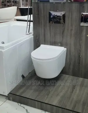 Concealed Toilet Sets With Tanks