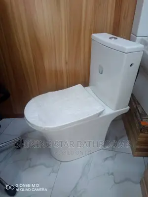 Executive Toilet Set With Basin