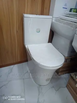 Executive Toilet Set With Basin