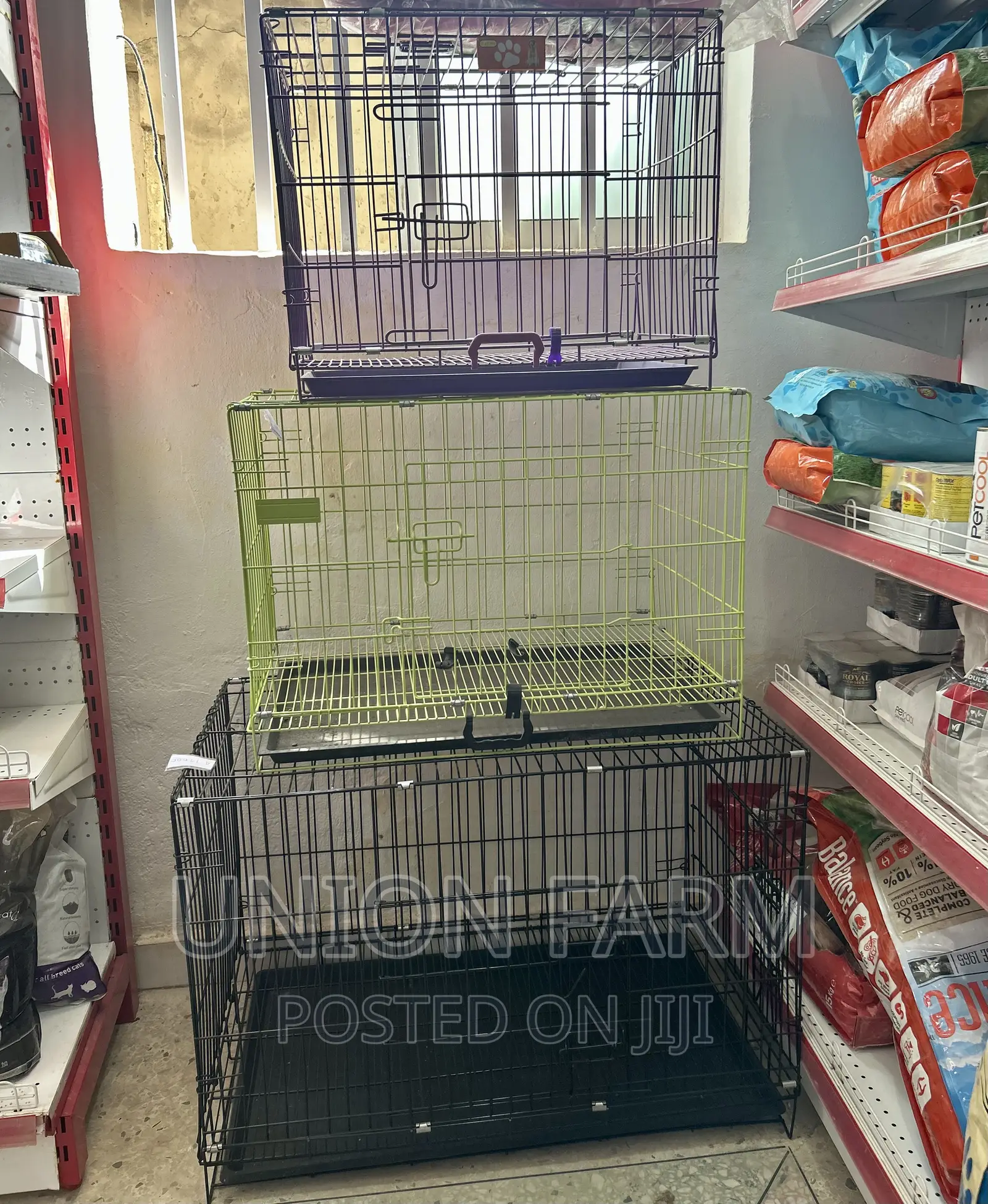 Collapsible Cage