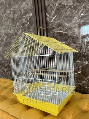 Fancy Bird Cage