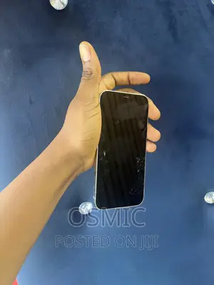 Apple iPhone 12 Pro 256 GB Blue