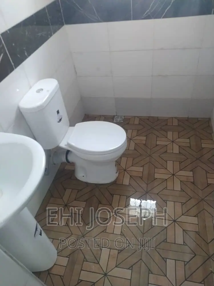 Post Construction Cleaning and Fumigation