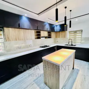 Contemporary Kitchen Cabinets