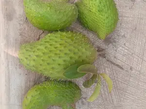 Soursop Fruit and Leaves