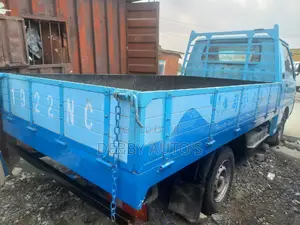 Delica Petrol Pickup