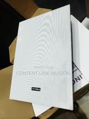 Good Quality 80 Watts Inwall Cinema Speakers