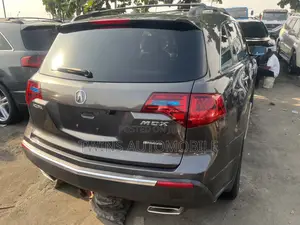 Acura MDX 2010 Gray