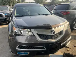Acura MDX 2010 Gray
