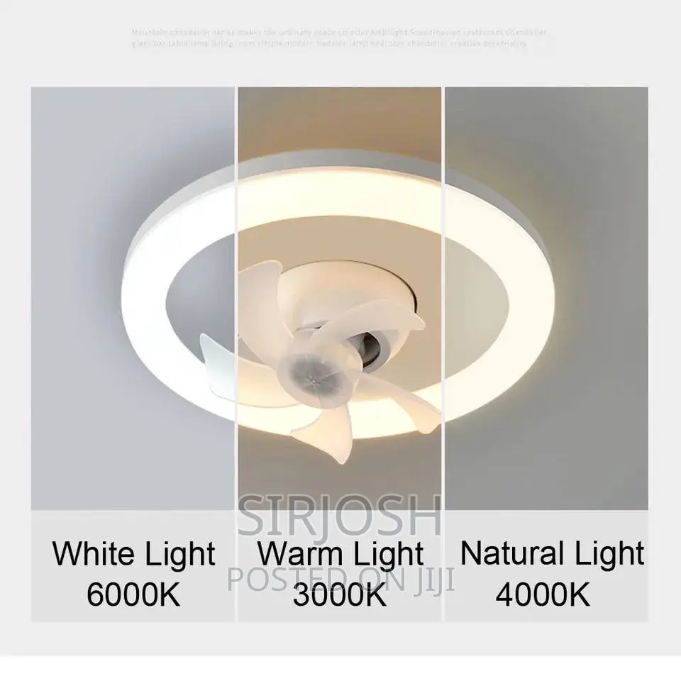 360 Shaking Fan With Lighting