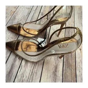 Photo - Zara Transparent Pointy Heels/Pumps