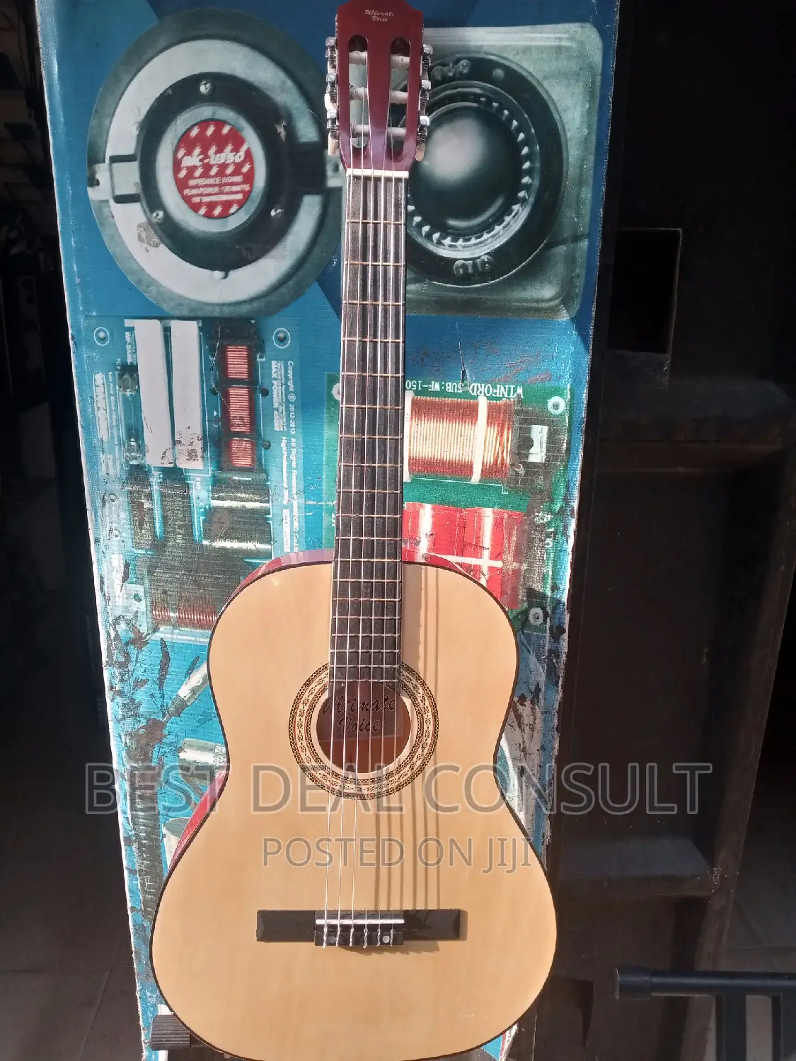 Classical Acoustic Guitar
