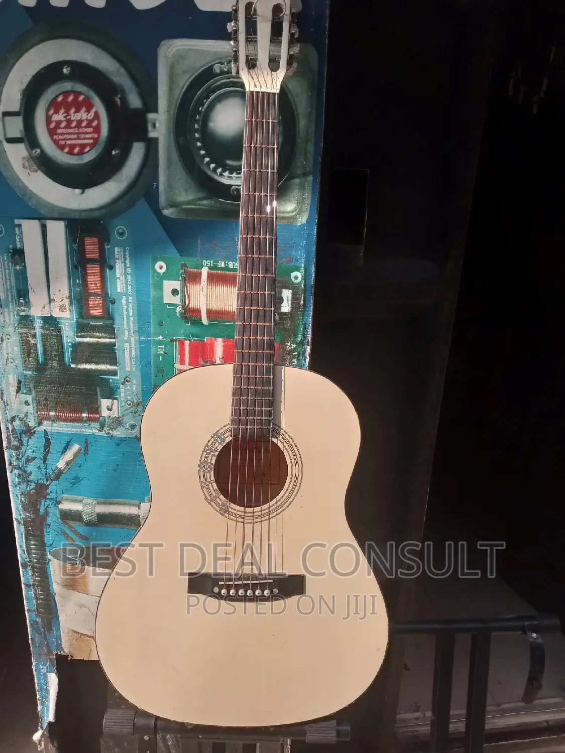 Classical Acoustic Guitar