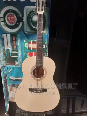 Classical Acoustic Guitar