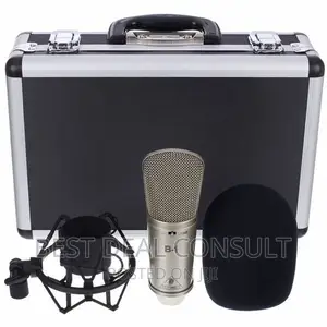 Behringer B2 Pro Studio Microphone