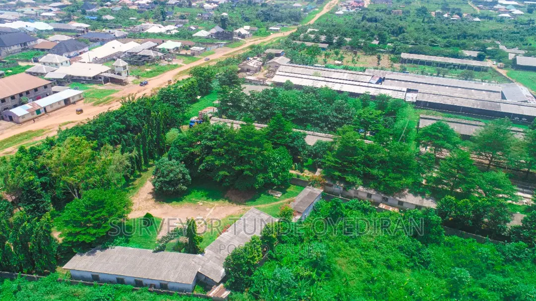 Functioning Poultry Farm on 20 Hectares of Land at Ijebu Ode Ogun State