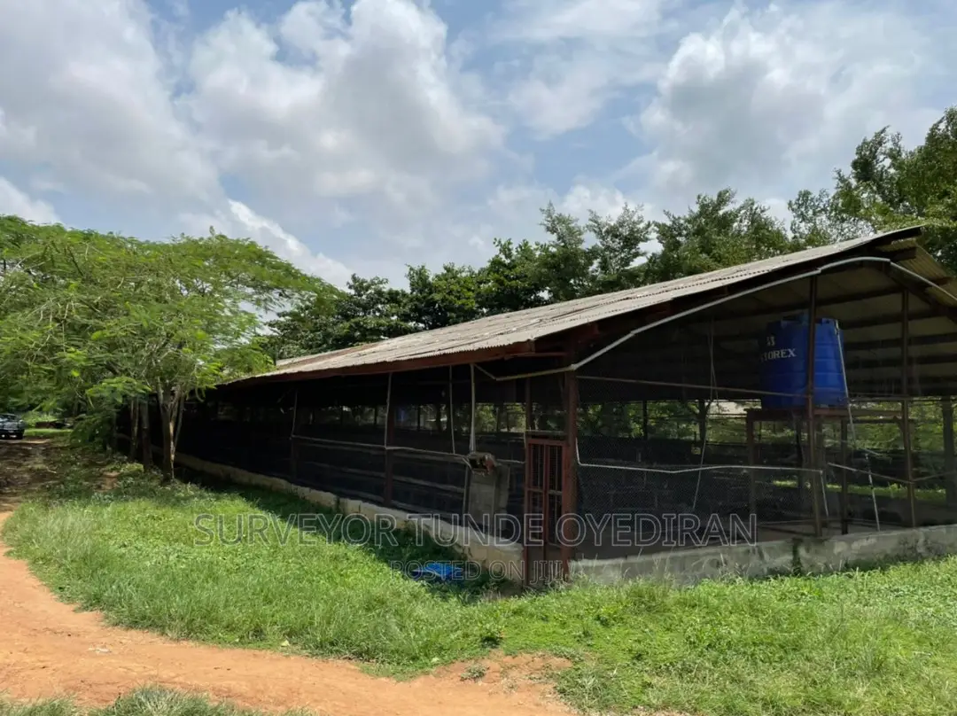 Functioning Poultry Farm on 20 Hectares of Land at Ijebu Ode Ogun State