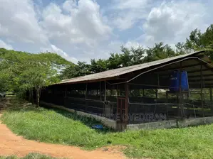 Functioning Poultry Farm on 20 Hectares of Land at Ijebu Ode Ogun State