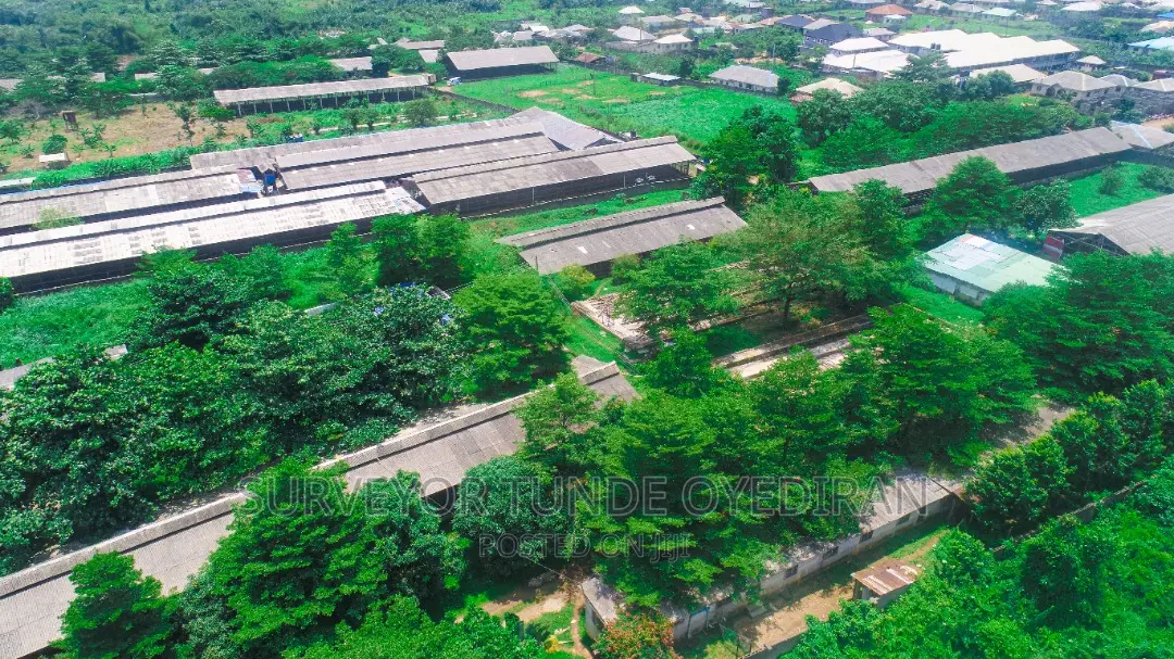 Functioning Poultry Farm on 20 Hectares of Land at Ijebu Ode Ogun State